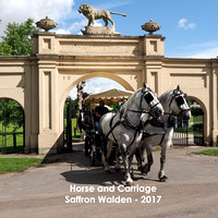Horse and Carriage - Saffron Walden