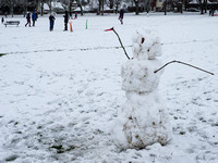 Snow Day