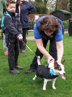 Support4Sight Charity Dog Walk.